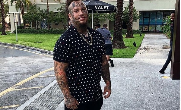 Stitches wearing a dotted tee.